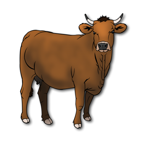 cow