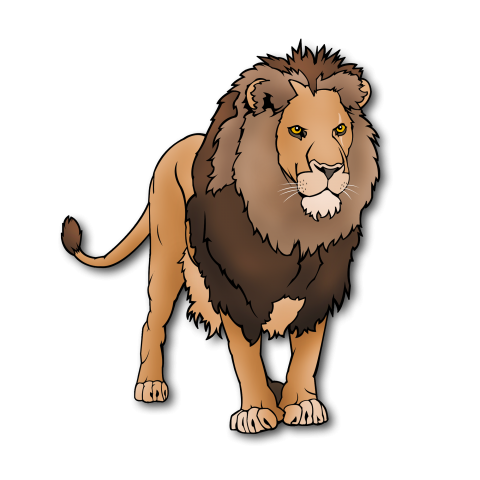 lion