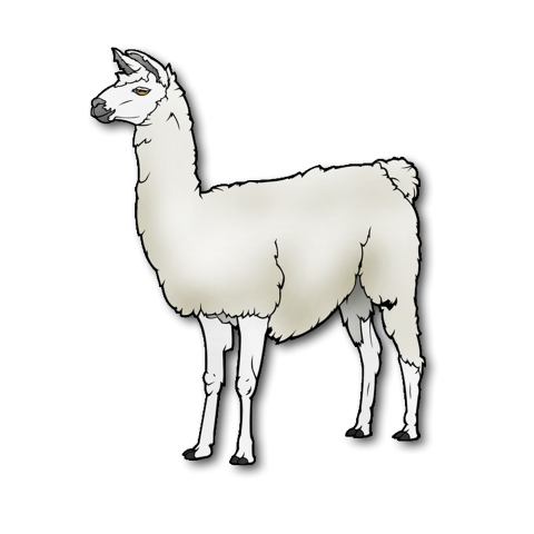 llama