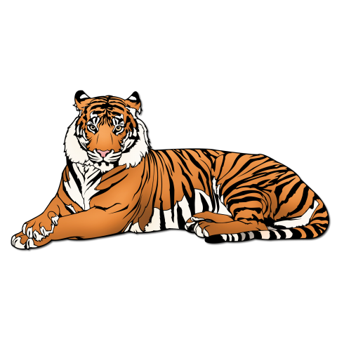 tiger