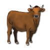 cow