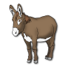 donkey