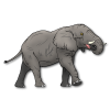 elephant