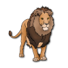 lion