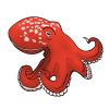 octopus