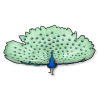 peacock