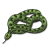 snake