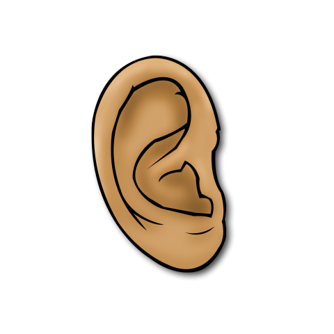 ear