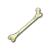 bone