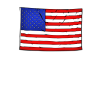 Flag (US)