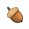 acorn