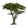 cypress_tree